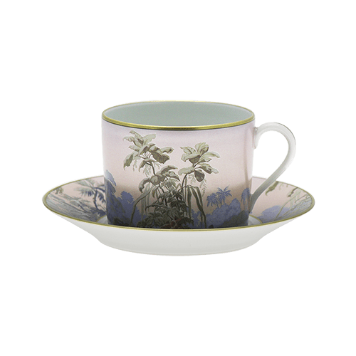 Le Brésil de la Manufacture Zuber Tea Cup and Saucer - THE WILD SHOWCASE