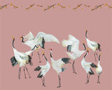 Wallpaper cranes pink Japanese Crane Dance - THE WILD SHOWCASE